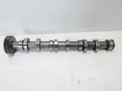 Розподільний вал Audi A6 S6 C6 4F 53622801 030119151 174354