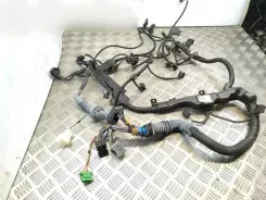 Джгут проводів двигуна BMW X6 E71 7809174 038050506C FA00379824