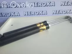 Задній амортизатор Renault Clio II SH343289 102564 230279