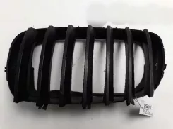 Решітка радіатора BMW X5 E70 51317157687 107061816