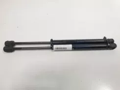 Демпфер кришки багажника Ford Focus 51242759034 0389640500N