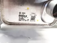 Кріплення генератора Volkswagen Golf VIII 06Q903143G 06Q117021H