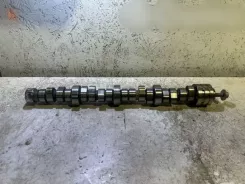 Розподільний вал Ram 1500 263AF 0403881217