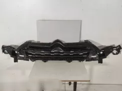 Citroen DS4 Решітка радіатора / Решітка 9688185377 02491524 091SM002