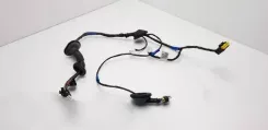 Джгут проводів задніх дверей KIA Ceed 916501H030 09C14010