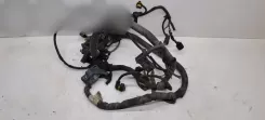 Джгут проводів двигуна Opel Vectra C 55188062 0055203962058463 M03500495