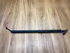 Амортизатор кришки багажника Lexus RX 450H 6892048080 0011430237