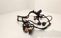 Джгут проводів передніх дверей Volkswagen Bora 1J0959382B 027010