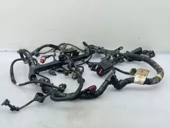 Джгут проводів двигуна Fiat Tipo 00552702310