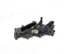 Впускний колектор Audi A6 Allroad C6 059129711 0011609 1076469S01