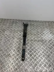 Задній амортизатор Mercedes-Benz B W247 A2473206304 01404008319
