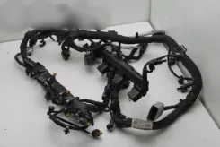 Джгут проводів двигуна Volkswagen Tiguan 06K972627